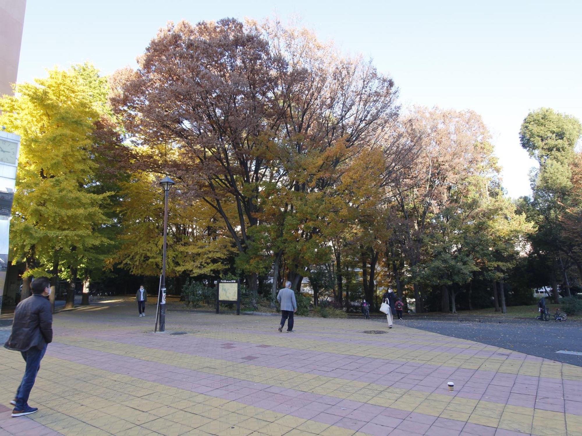 和貴ビル, Tokyo
